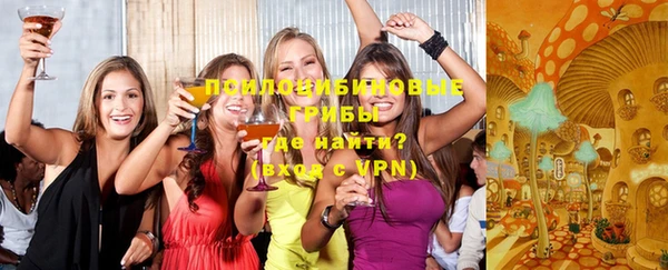 мет Бородино