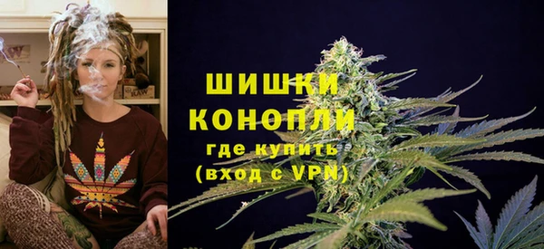 мет Бородино