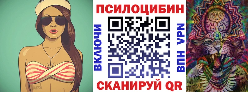 Псилоцибиновые грибы мицелий  наркошоп  Янаул 